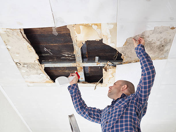 Best Asbestos and Lead Testing During Mold Inspection  in Splendora, TX